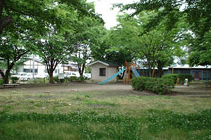 桜ヶ丘公園の様子1