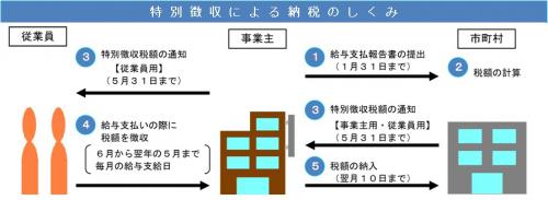 給与特別徴収一連の流れ