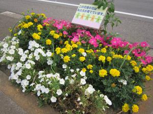 南幹線の花壇