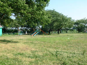 台ノ宮公園の様子1