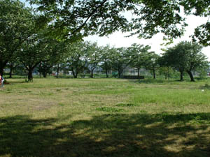 台ノ宮公園の様子2