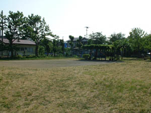 緑町公園の様子2