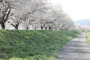 鶴沼緑地公園