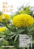 あ