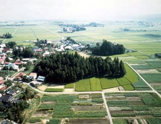 亀ケ森・鎮守森古墳