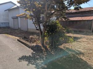 外観(小屋)